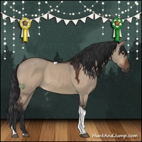 Horse Color:Brown Dun Tobiano 