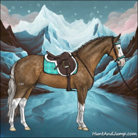 Horse Color:Chocolate Palomino Splash