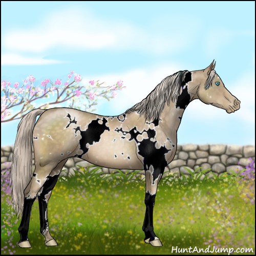 Horse Color:White Spotted Chocolate Palomino Pearl 