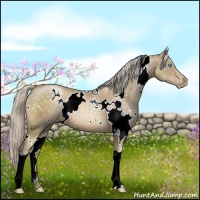Horse Color:White Spotted Chocolate Palomino Pearl 