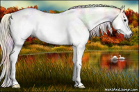 Horse Color:Gray Nacre White Spotted Black