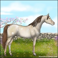 Horse Color:White Spotted Liver Red Dun Pearl 