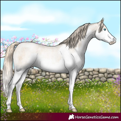 Horse Color:Chocolate Palomino Roan Pearl Mushroom Sabino Splash 