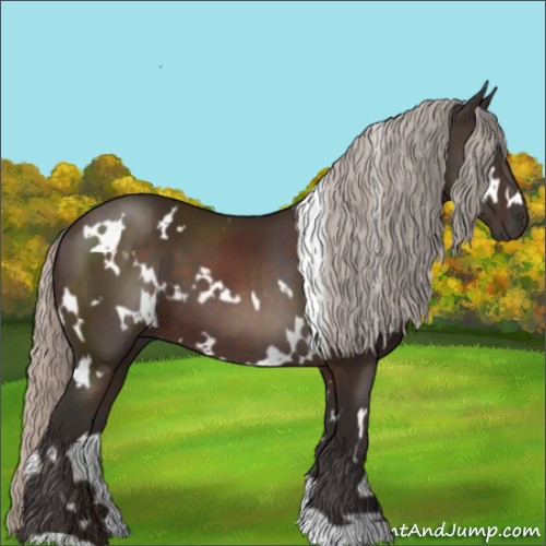 Horse Color:White Spotted Silver Brown 