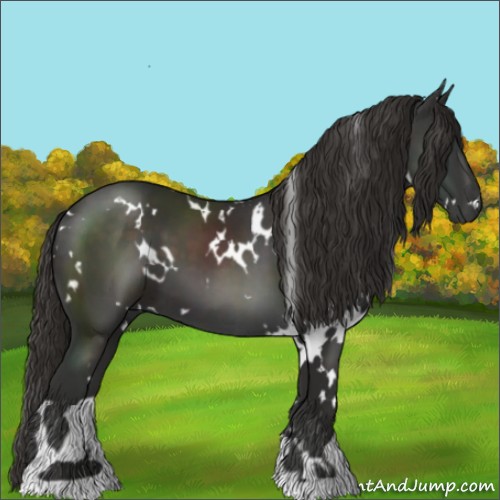 Horse Color:White Spotted Liver Chestnut 