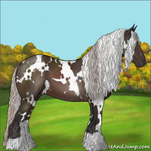 Horse Color:White Spotted Silver Brown 