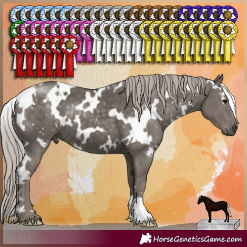 Horse Color:White Spotted Silver Black 