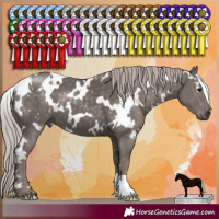 Horse Color:White Spotted Silver Black 