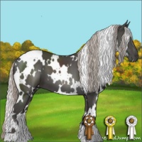 Horse Color:White Spotted Silver Black 