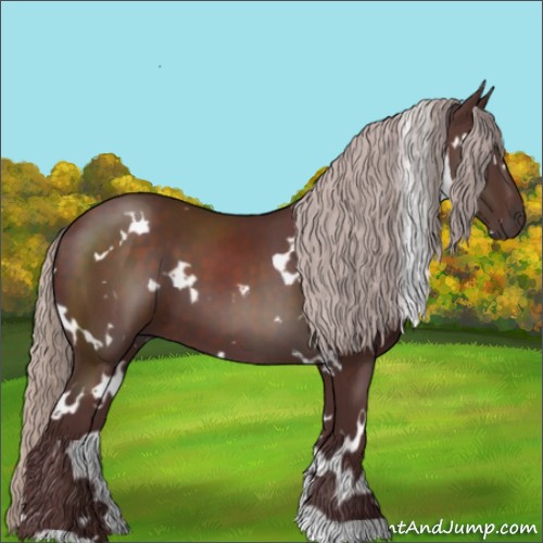 Horse Color:White Spotted Chocolate Silver Brown