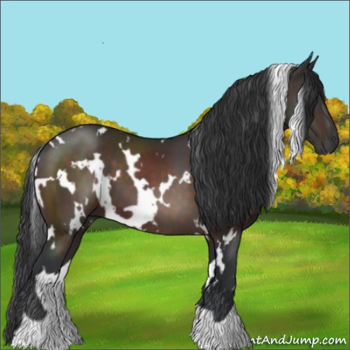 Horse Color:White Spotted Brown 