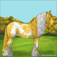 Horse Color:Watercolor White Spotted Liver Chestnut 