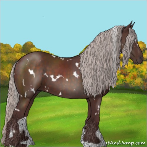 Horse Color:White Spotted Chocolate Silver Brown