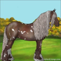 Horse Color:White Spotted Chocolate Silver Brown