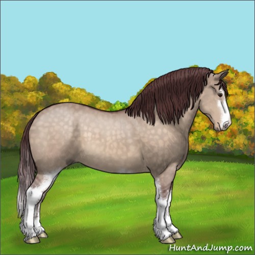 Horse Color:Chocolate Brown Dun Mushroom Sabino 