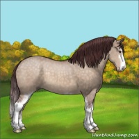 Horse Color:Chocolate Brown Dun Mushroom Sabino 