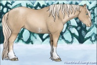 Horse Color:Chocolate Palomino Pearl Tobiano Frame  and Chocolate Palomino Pearl Tobiano Frame 