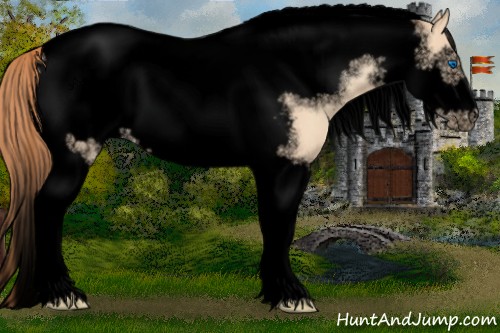 Horse Color:Void Gold Champagne Dun Tobiano Frame Appaloosa 