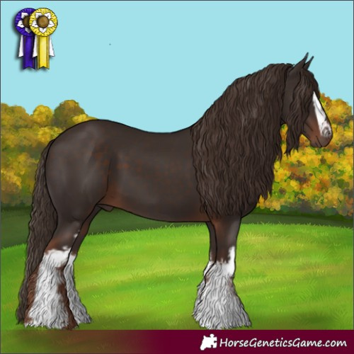Horse Color:White Spotted Liver Chestnut 