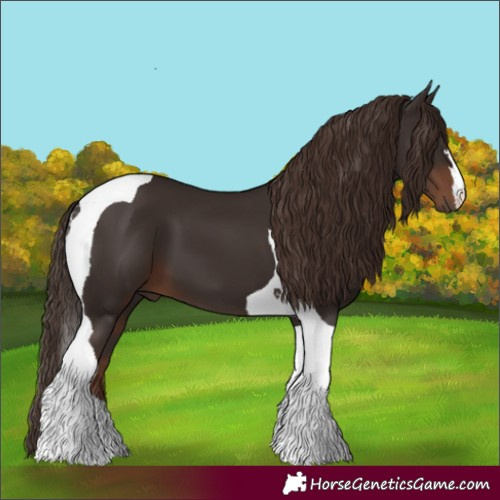Horse Color:Liver Chestnut Tobiano 