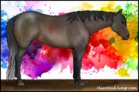 Horse Color:Brown Roan 