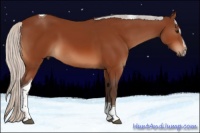 Horse Color:Silver Bay Sabino Tobiano 