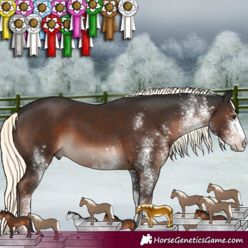 Horse Color:White Spotted Liver Chestnut Mushroom