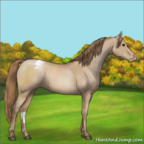 Horse Color:Black Pearl Varnish