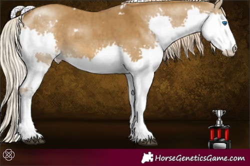 Horse Color:White Spotted Chocolate Palomino Dun Splash Brindle 