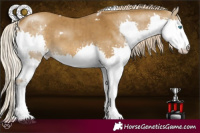 Horse Color:White Spotted Chocolate Palomino Dun Splash Brindle 
