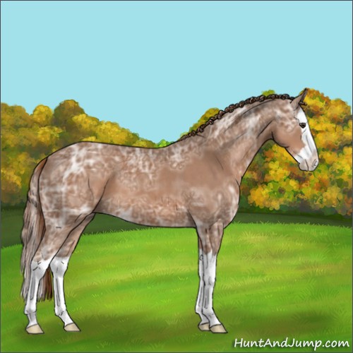 Horse Color:Chestnut Ice Splash 