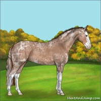 Horse Color:Chestnut Ice Splash 