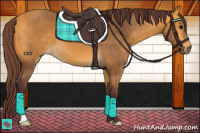 Horse Color:Chocolate Buckskin 