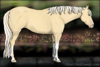 Horse Color:Gold Cream Champagne 