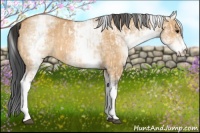 Horse Color:White Spotted Bay Dun Rabicano  and White Spotted Bay Dun Rabicano 