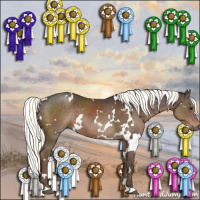 Horse Color:White Spotted Liver Chestnut Mushroom 