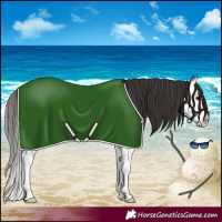 Horse Color:Bay Splash 