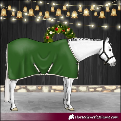 Horse Color:Gray Black Frame Appaloosa 