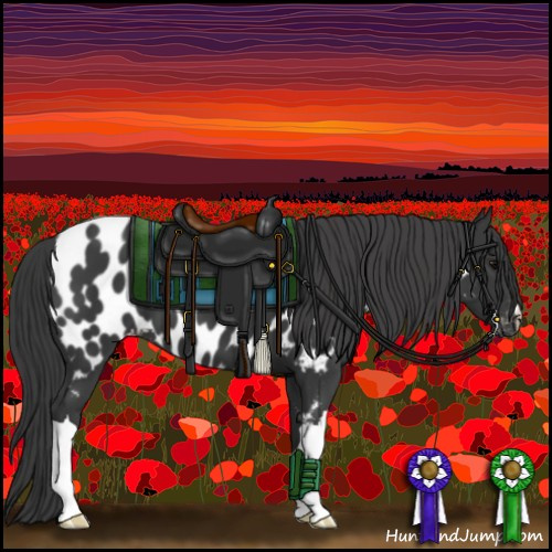 Horse Color:Black Appaloosa 