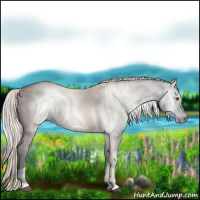 Horse Color:Gray Silver Black Pearl Tobiano 
