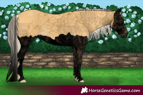 Horse Color:Void Palomino Splash 