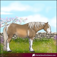 Horse Color:Chocolate Palomino Mushroom Sabino Tobiano
