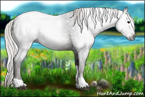 Horse Color:Gray Silver Black Tobiano 