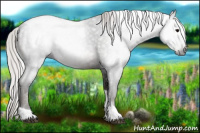 Horse Color:Gray Silver Black Tobiano 