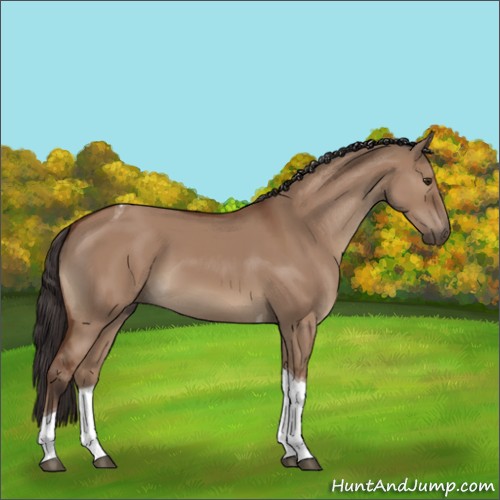 Horse Color:Bay Dun Tobiano 