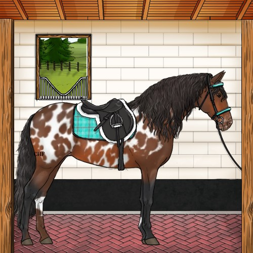 Horse Color:Bay Near Leopard