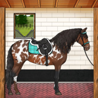 Horse Color:Bay Near Leopard 