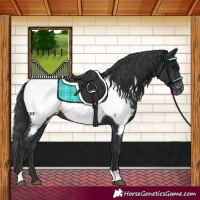 Horse Color:Black Near Fewspot 