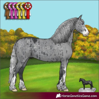 Horse Color:Silver Grullo Chinchilla Sabino Brindle 