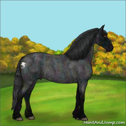 Horse Color:Midnight Blue Roan Sabino 